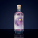 The Illusionist Rosemary Fizz RTD - Front View